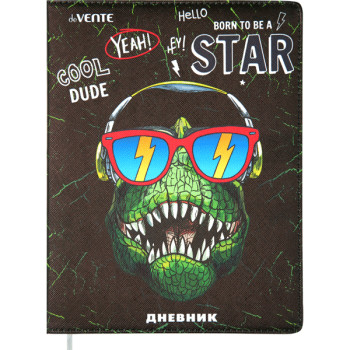 Дневник Cool Dude deVENTE 2020115