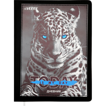 Дневник Today. Leopard deVENTE 2021127