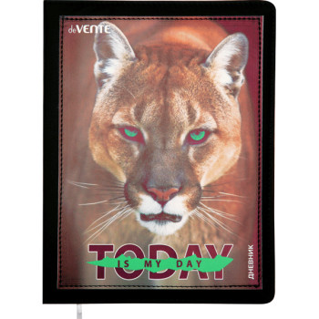 Дневник Today. Puma deVENTE 2021128
