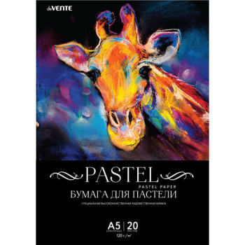 Бумага для пастели deVENTE 2132905