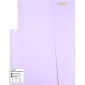 Папка с 20 вкладышами A4 Pastel deVENTE 3101803