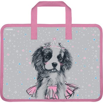 Папка для тетрадей, ИЗО и технологии Dog Princess deVENTE 8053146